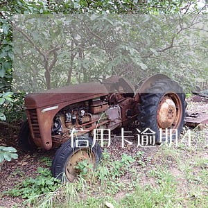 信用卡逾期4天利息很贵 信用卡逾期4天利息很贵