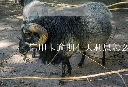 信用卡逾期4天利息怎么计算 信用卡逾期4天利息怎么计算