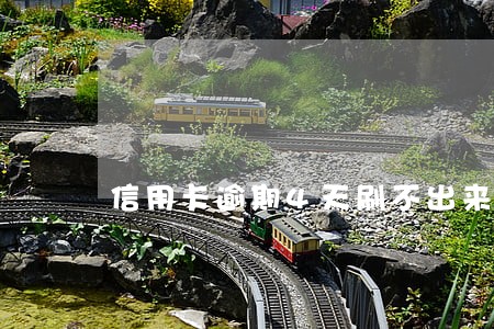 信用卡逾期4天刷不出来 信用卡逾期4天刷不出来