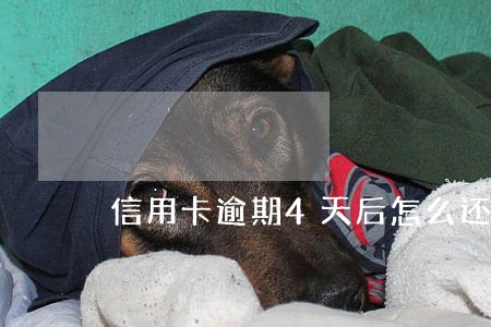 信用卡逾期4天后怎么还款 信用卡逾期4天后怎么还款