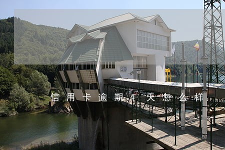 信用卡逾期4天怎么样 信用卡逾期4天怎么样