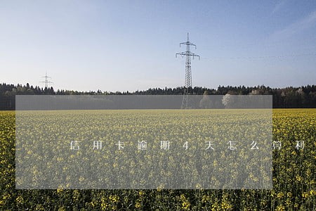 信用卡逾期4天怎么算利息 信用卡逾期4天怎么算利息