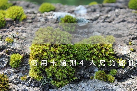 信用卡逾期4天房贷能批吗 信用卡逾期4天房贷能批吗