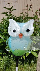 信用卡逾期4天收多少钱 信用卡逾期4天收多少钱