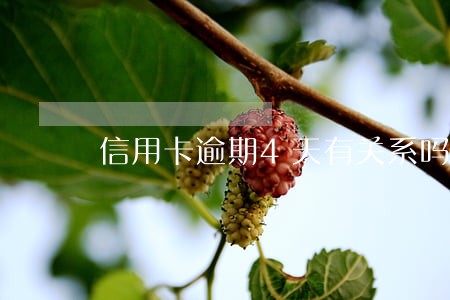 信用卡逾期4天有关系吗 信用卡逾期4天有关系吗