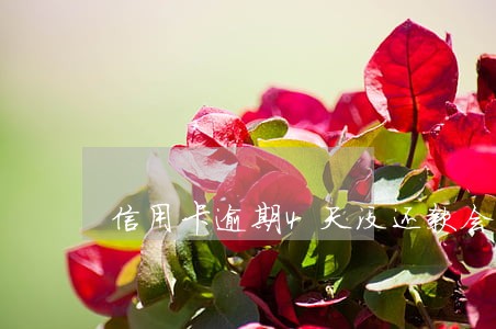 信用卡逾期4天没还款会怎样 信用卡逾期4天没还款会怎样