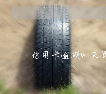 信用卡逾期4天罚金500