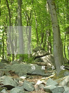 信用卡逾期4天被扣利息 信用卡逾期4天被扣利息