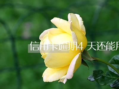 信用卡逾期4天还能用么 信用卡逾期4天还能用么
