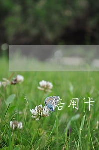 信用卡逾期4天银行打电话来 信用卡逾期4天银行打电话来