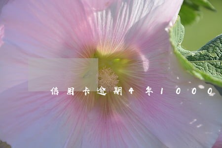 信用卡逾期4年1000块 信用卡逾期4年1000块