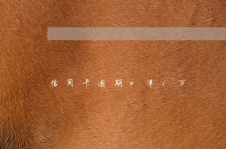 信用卡逾期4年1万 信用卡逾期4年1万