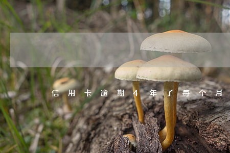 信用卡逾期4年了每个月还一点 信用卡逾期4年了每个月还一点