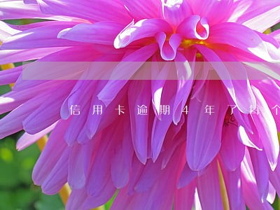 信用卡逾期4年了每个月还一点可以分期么 信用卡逾期4年了每个月还一点可以分期么
