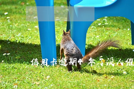 信用卡逾期4年了没人催还 信用卡逾期4年了没人催还