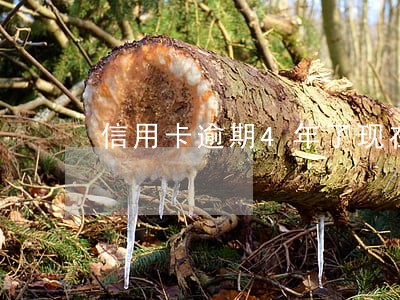 信用卡逾期4年了现在欠了1万