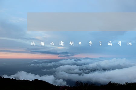 信用卡逾期4年了还可以网代吗
