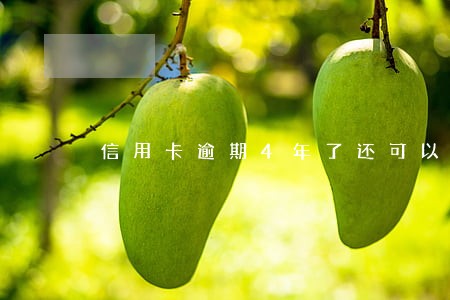 信用卡逾期4年了还可以网贷吗