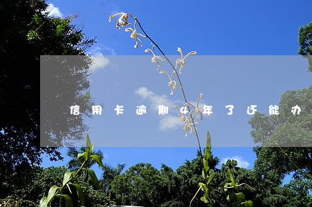 信用卡逾期4年了还能办吗