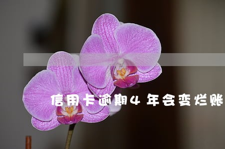 信用卡逾期4年会变烂账吗