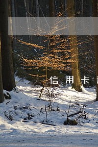 信用卡逾期4年协商邮件怎么发 信用卡逾期4年协商邮件怎么发