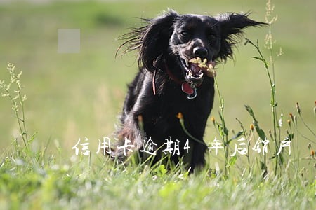 信用卡逾期4年后销户