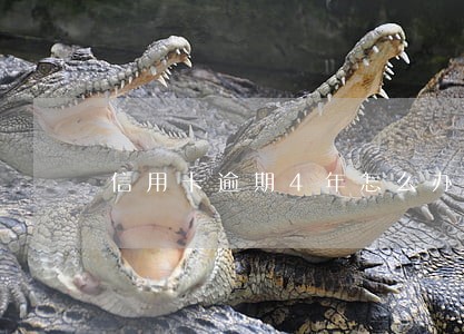 信用卡逾期4年怎么办