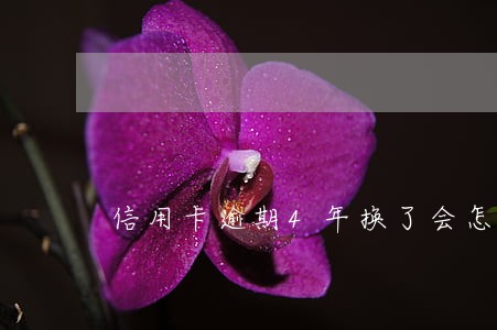 信用卡逾期4年换了会怎么样 信用卡逾期4年换了会怎么样