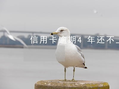 信用卡逾期4年还不上怎么办 信用卡逾期4年还不上怎么办
