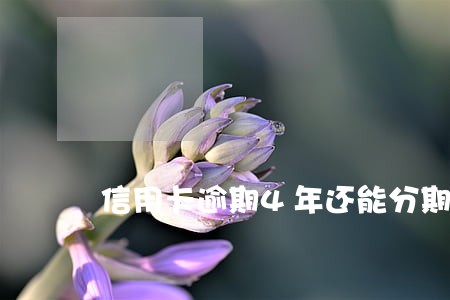 信用卡逾期4年还能分期还款吗 信用卡逾期4年还能分期还款吗