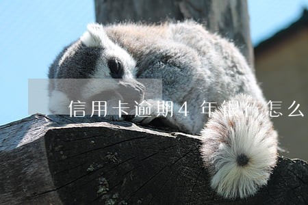信用卡逾期4年银行怎么不起诉 信用卡逾期4年银行怎么不起诉