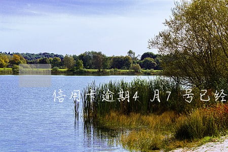 信用卡逾期4月7号已经立案 信用卡逾期4月7号已经立案