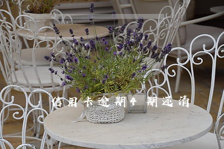 信用卡逾期4期还清 信用卡逾期4期还清