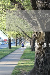 信用卡逾期4次却没有拉黑 信用卡逾期4次却没有拉黑