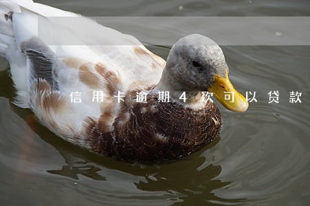 信用卡逾期4次可以贷款吗 信用卡逾期4次可以贷款吗
