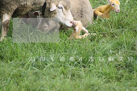 信用卡逾期4次影响买房 信用卡逾期4次影响买房