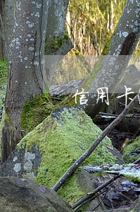 信用卡逾期4次很严重吗