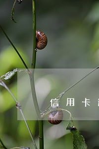 信用卡逾期4次怎么贷消费贷 信用卡逾期4次怎么贷消费贷