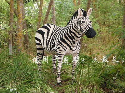 信用卡逾期4次最长2个月 信用卡逾期4次最长2个月
