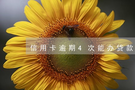 信用卡逾期4次能办贷款吗 信用卡逾期4次能办贷款吗