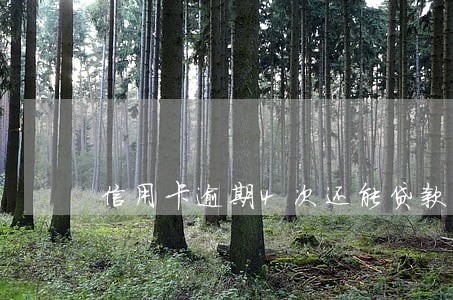 信用卡逾期4次还能贷款吗 信用卡逾期4次还能贷款吗