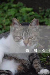 信用卡逾期4级是什么意思 信用卡逾期4级是什么意思