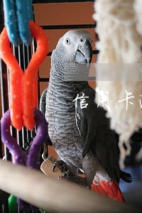信用卡逾期5.6天还最低