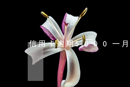 信用卡逾期5000一月严重吗 信用卡逾期5000一月严重吗