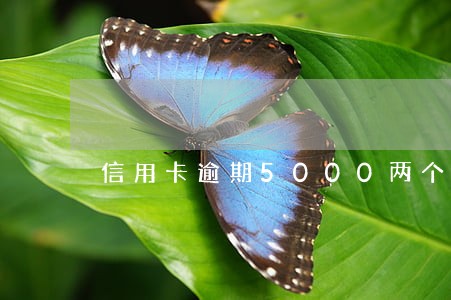 信用卡逾期5000两个月 信用卡逾期5000两个月