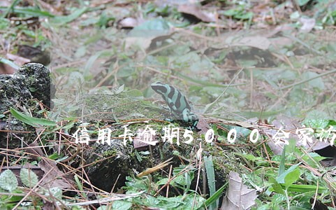信用卡逾期5000会家访嘛 信用卡逾期5000会家访嘛