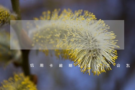 信用卡逾期5000会怎么样 信用卡逾期5000会怎么样