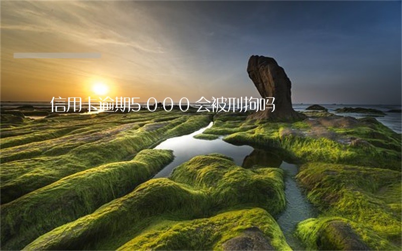 信用卡逾期5000会被刑拘吗