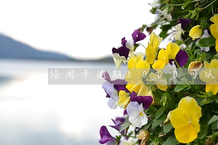 信用卡逾期5000可以办分期吗