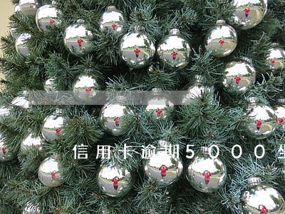 信用卡逾期5000坐牢 信用卡逾期5000坐牢